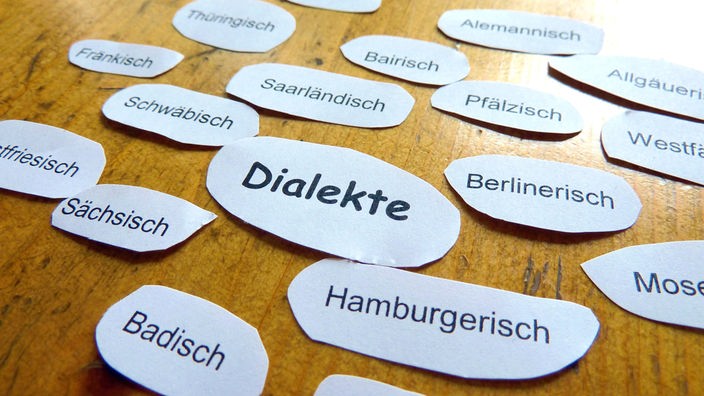 Die Bezeichnungen verschiedener Dialekte auf Zetteln liegen auf einem Tisch